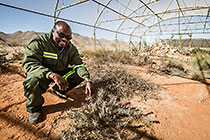 environmental officer in plant nursery for tailing rehabilitation