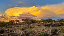 clouds at sunset