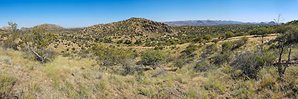 panorama | trees on hills