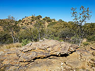rocks & trees