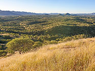 green trees & grass on hills