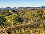 green trees & grass on hills