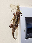 gecko eating insect