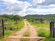 farm entrance & road through green bushes