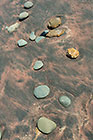 pebbles on red sand coast line