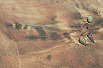 pebbles on red sand coast line