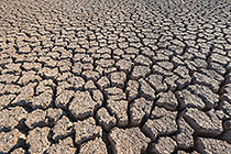 cracked mud in dam