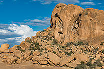 elephant hill