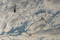 helicopter flying with SkyTEM rig