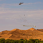helicopter flying with SkyTEM rig over sand dunes with flock of birds