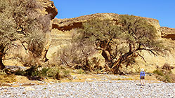 canyon