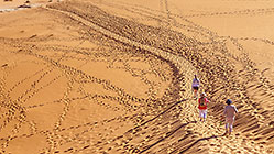 footprints
