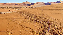 footprints
