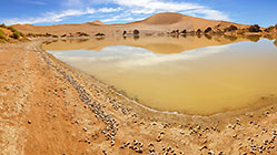 Sossusvlei