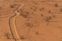 sand track
