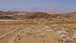 sdesert