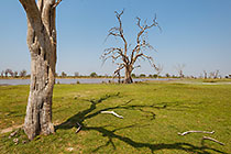 golf course