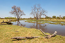 river