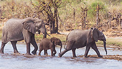 river crossing