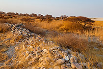 lekubu island