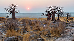 sunrise