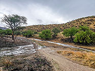 first rain