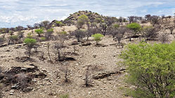 dry hill
