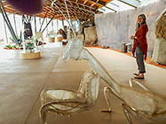 museum