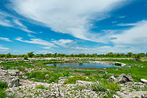 Nuamses waterhole