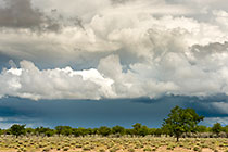 storm on plain
