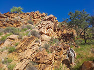 Paul hiking on Olive trail through gorge