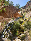 waterfall in gorge of Waterkloof trail