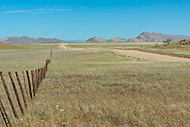 farm fence along road in grassy plain