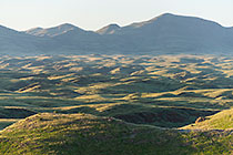 hills covered with grass at sunset