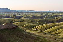 hills covered with grass at dawn