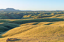 hills covered with grass at sunrise
