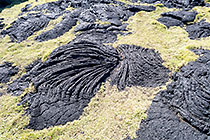 grass between igneous rock (dry lava)