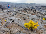 Lisa hiking on lava field under rain