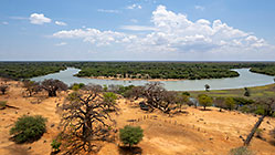 ranger-camper & disco under huge baobab tree near Kunene river