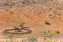 Himba people near kraal & hut