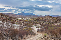 rocky track through trees & mountains