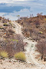 Climbing Track