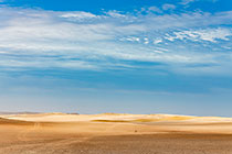 desert plain
