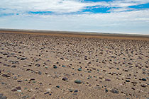 aligned rocks on desert plain