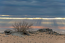Desert Sunset