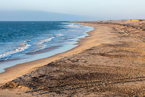 seashore