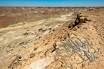arid canyon