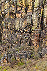 Colorful Cliff