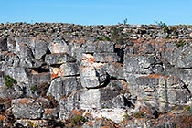 granite rocks with lichens