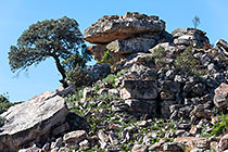 granite rocks & tree on hill